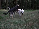 DSCF1163.JPG
