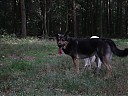 DSCF1164.JPG