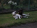 DSCF1172.JPG