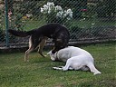 DSCF1173.JPG