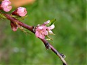 DSCF0376.JPG