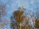 DSCF0479.JPG