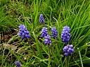 DSCF0493.JPG