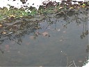 DSCF2753.JPG