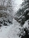 DSCF3194.JPG