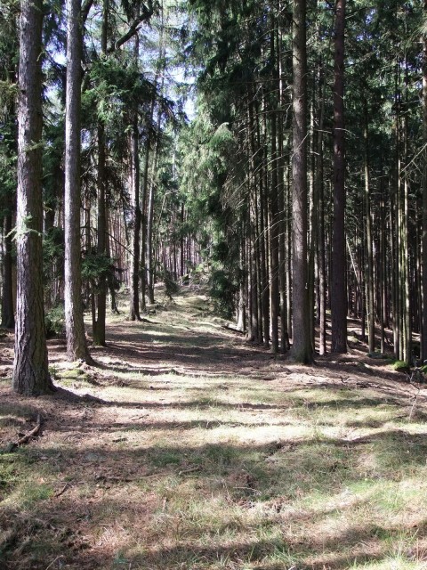 DSCF2535.JPG