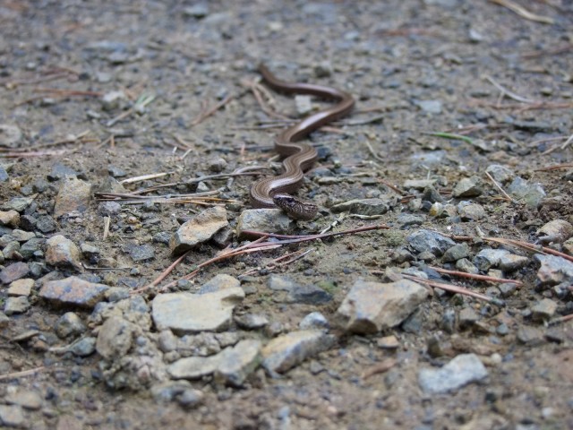 DSCF2565.JPG