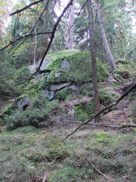 DSCF2580.JPG