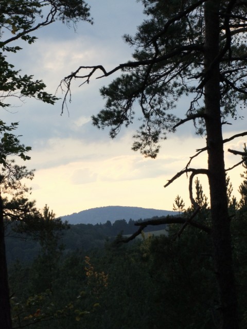 DSCF2619.JPG