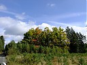 DSCF2527.JPG