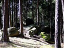 DSCF2529.JPG