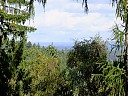 DSCF2530.JPG