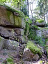 DSCF2531.JPG