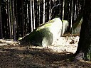 DSCF2533.JPG