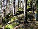DSCF2534.JPG