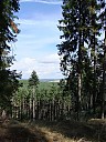 DSCF2536.JPG