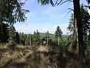 DSCF2537.JPG