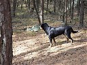 DSCF2560.JPG