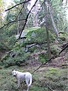 DSCF2578.JPG