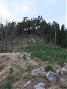 DSCF2613.JPG