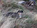 DSCF2616.JPG