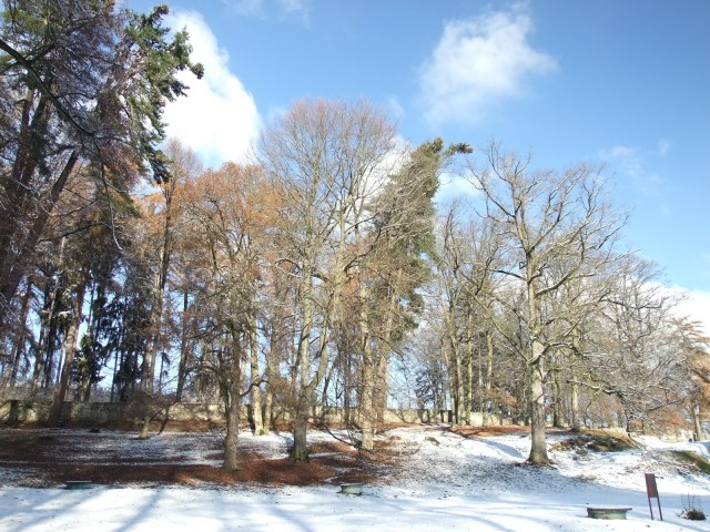 DSCF3132.JPG