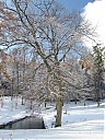 DSCF3130.JPG