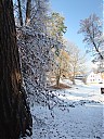 DSCF3134.JPG