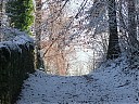 DSCF3135.JPG