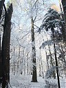 DSCF3137.JPG