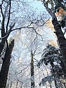 DSCF3138.JPG
