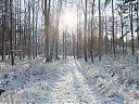DSCF3146.JPG