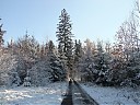 DSCF3148.JPG