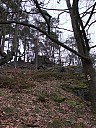 DSCF3231.JPG