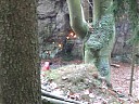 DSCF3245.JPG