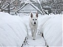 DSCF3368.JPG