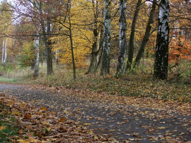 DSCF4897.JPG