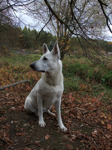 DSCF4901.JPG