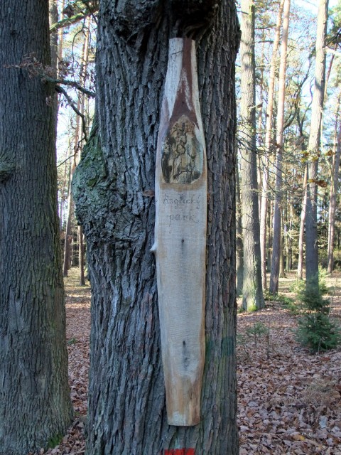 DSCF4903.JPG