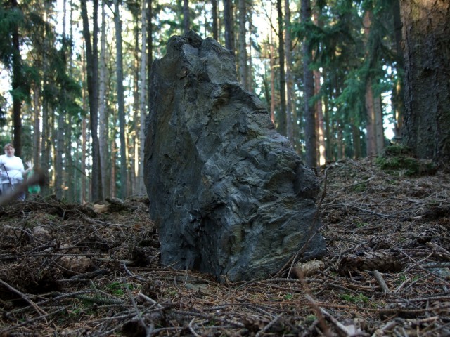 DSCF4911.JPG