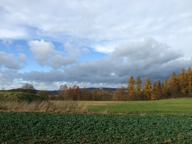 DSCF4928.JPG