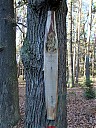 DSCF4903.JPG