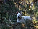 DSCF4907.JPG