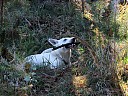 DSCF4908.JPG