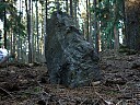DSCF4911.JPG