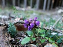 DSCF4915.JPG