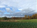 DSCF4928.JPG