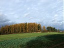 DSCF4933.JPG