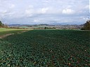 DSCF4938.JPG