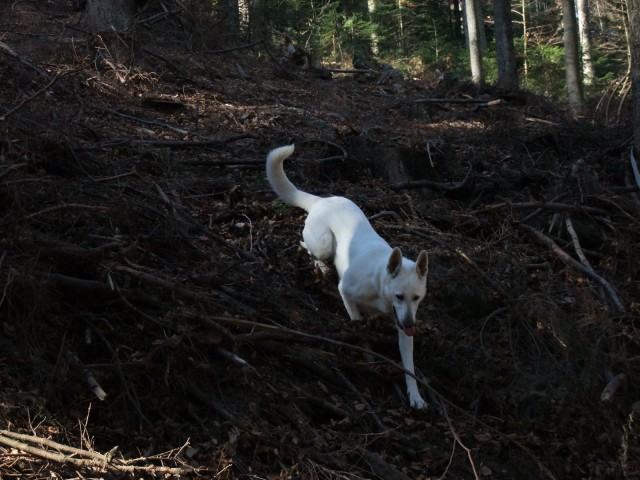DSCF4801.JPG